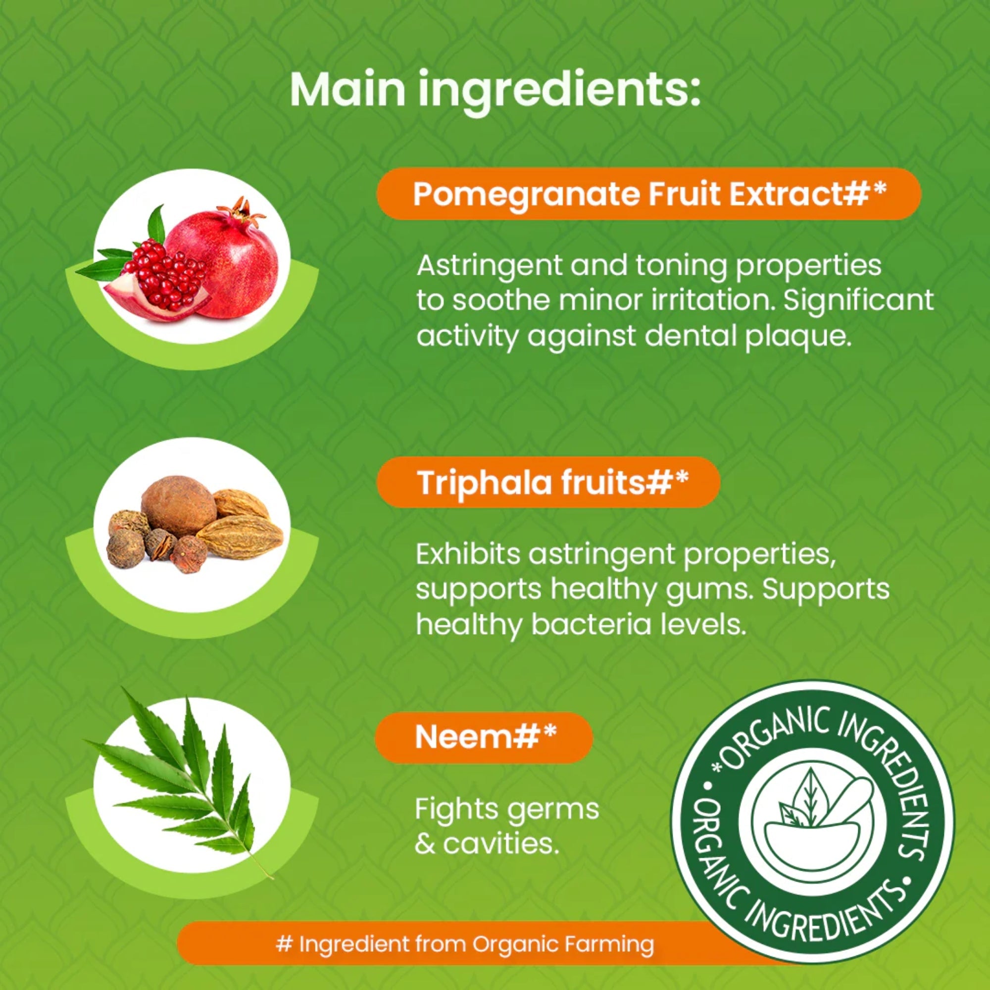 Dentifricio Botanique al Neem e Melograno | Himalaya