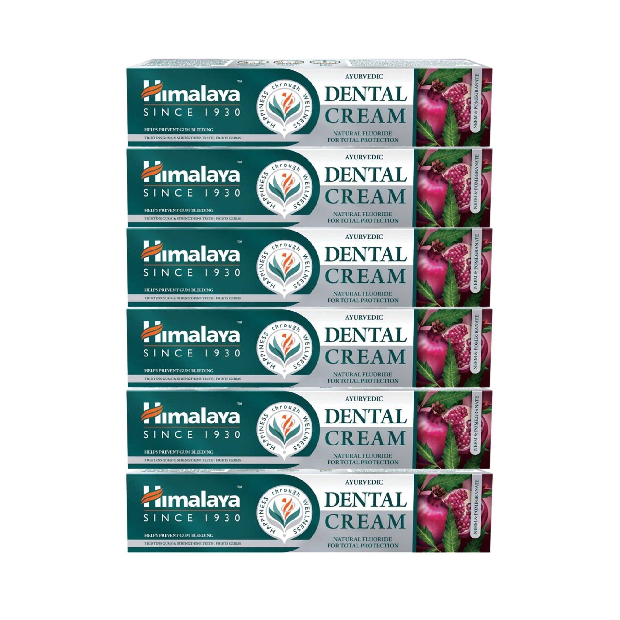 Ayurvedic Dental Cream con Fluoro Naturale | 100 grammi | Himalaya