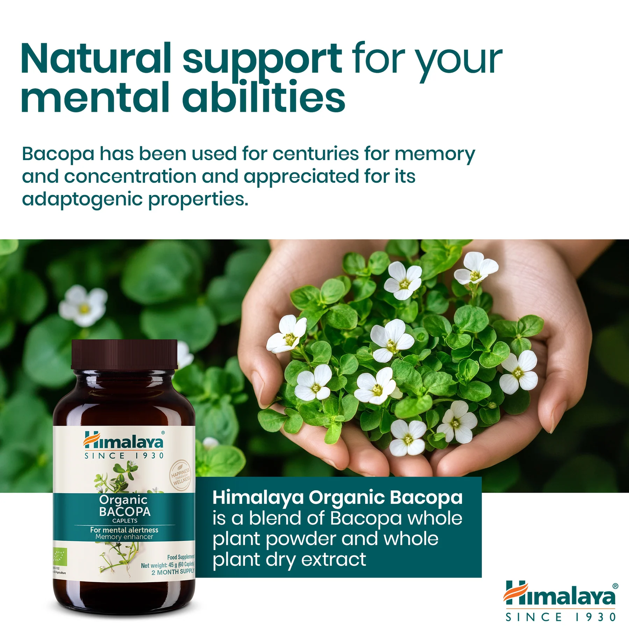 Himalaya Bacopa supporto naturale per memoria e concentrazione