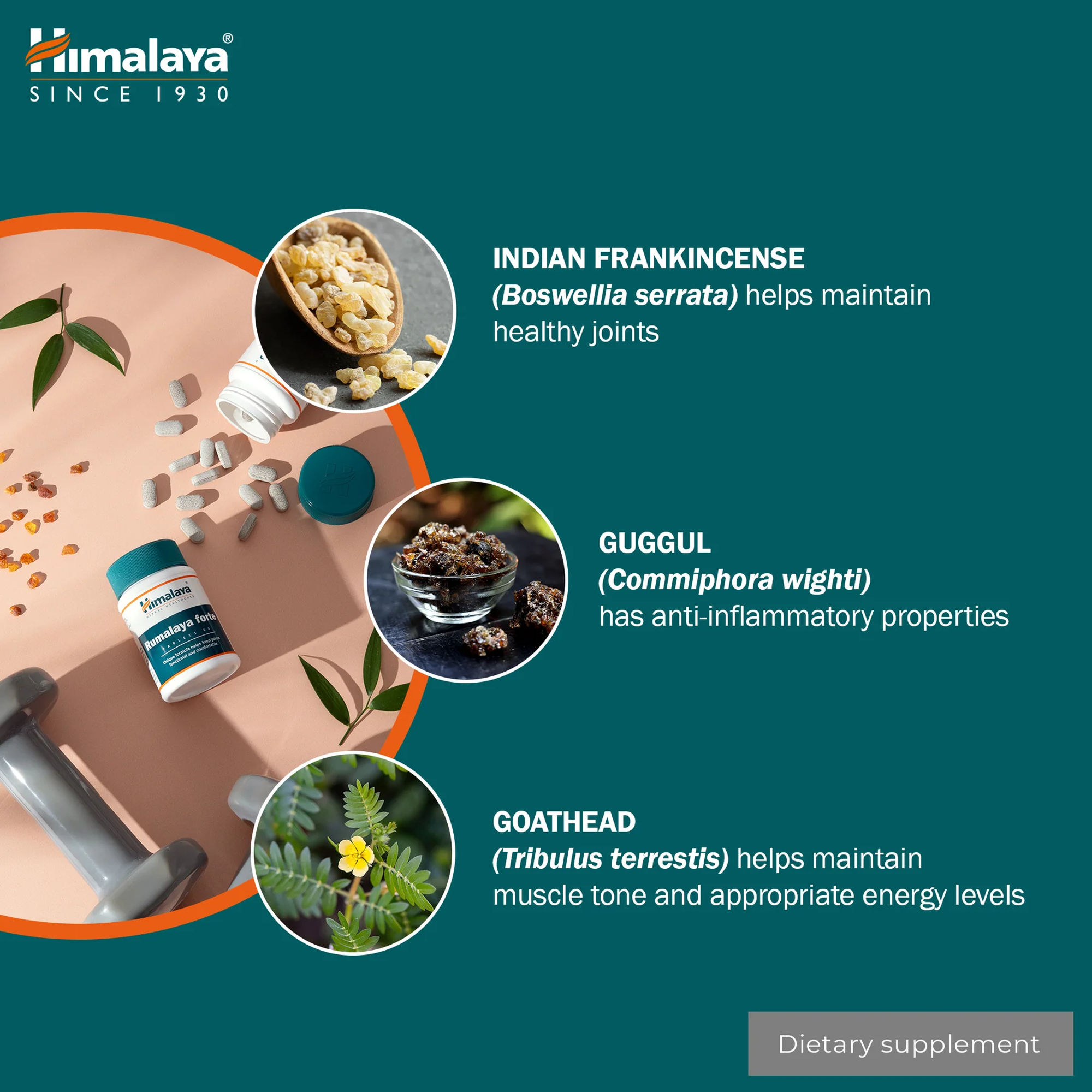 Himalaya Rumalaya Forte ingredienti Boswellia, guggul e Tribulus terrestris