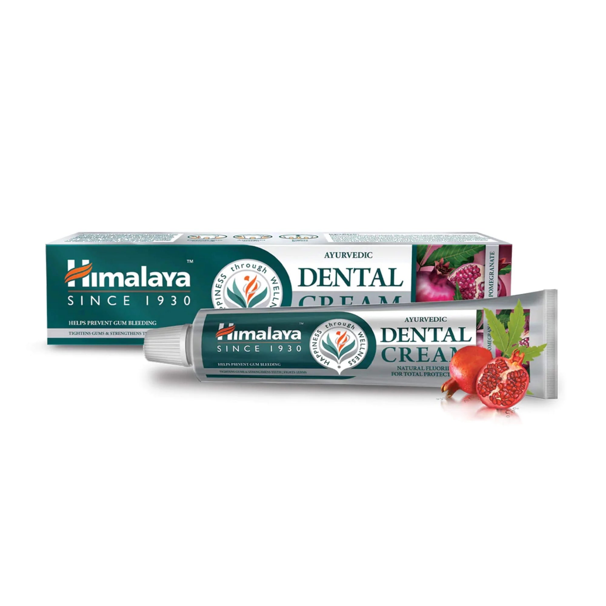 Ayurvedic Dental Cream con Fluoro Naturale | 100 grammi | Himalaya