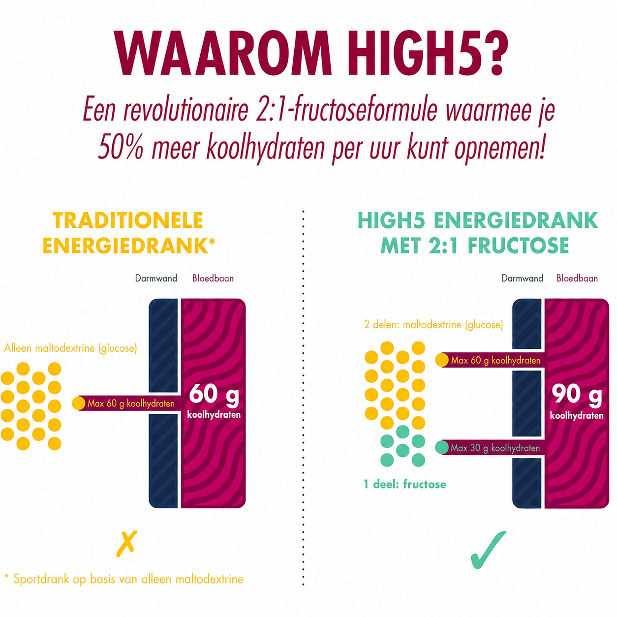 HIGH5 Energy Drink Berry | Polvere carboidrati-elettroliti