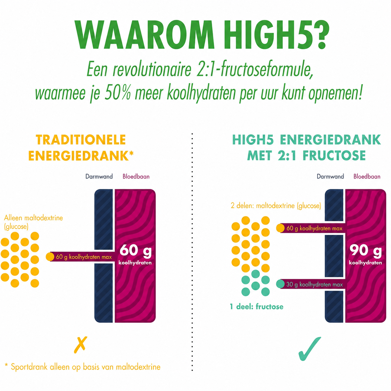 HIGH5 Energy Drink Citrus | Polvere carboidrati-elettroliti