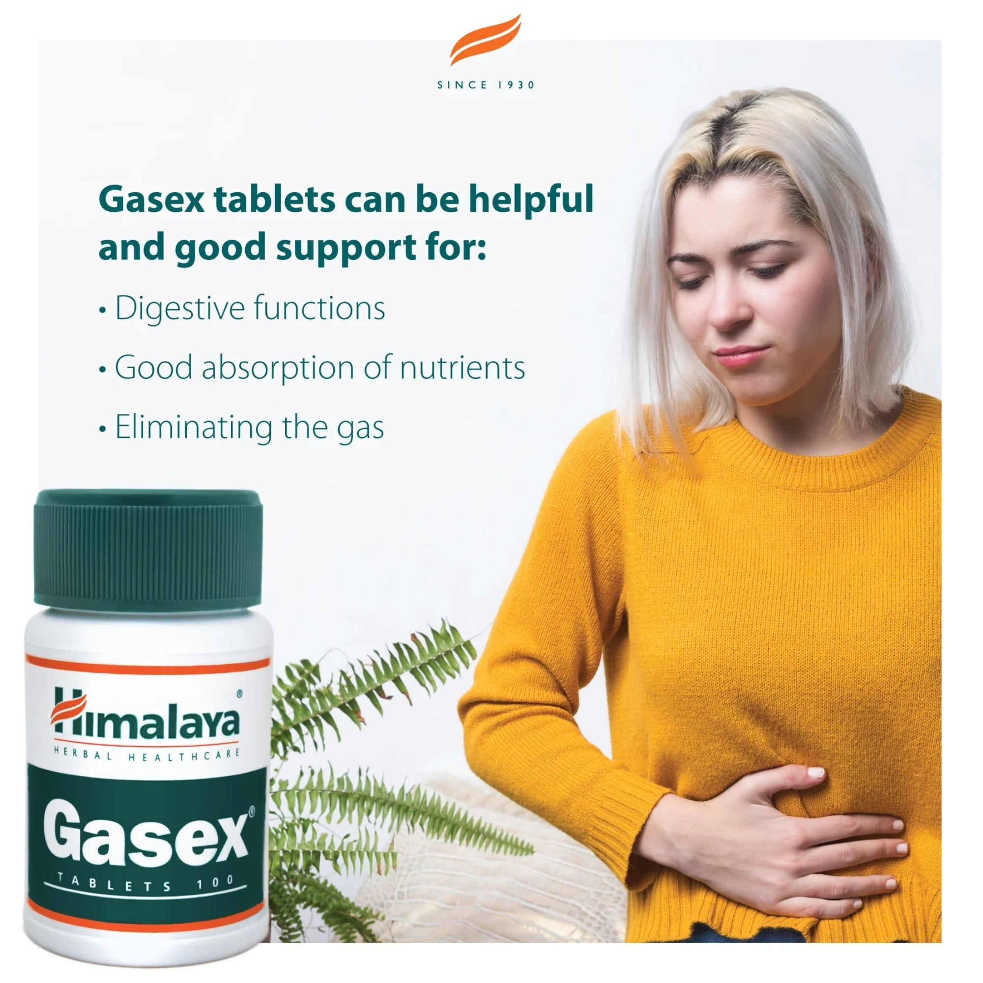 Gasex | 100 compresse | Himalaya