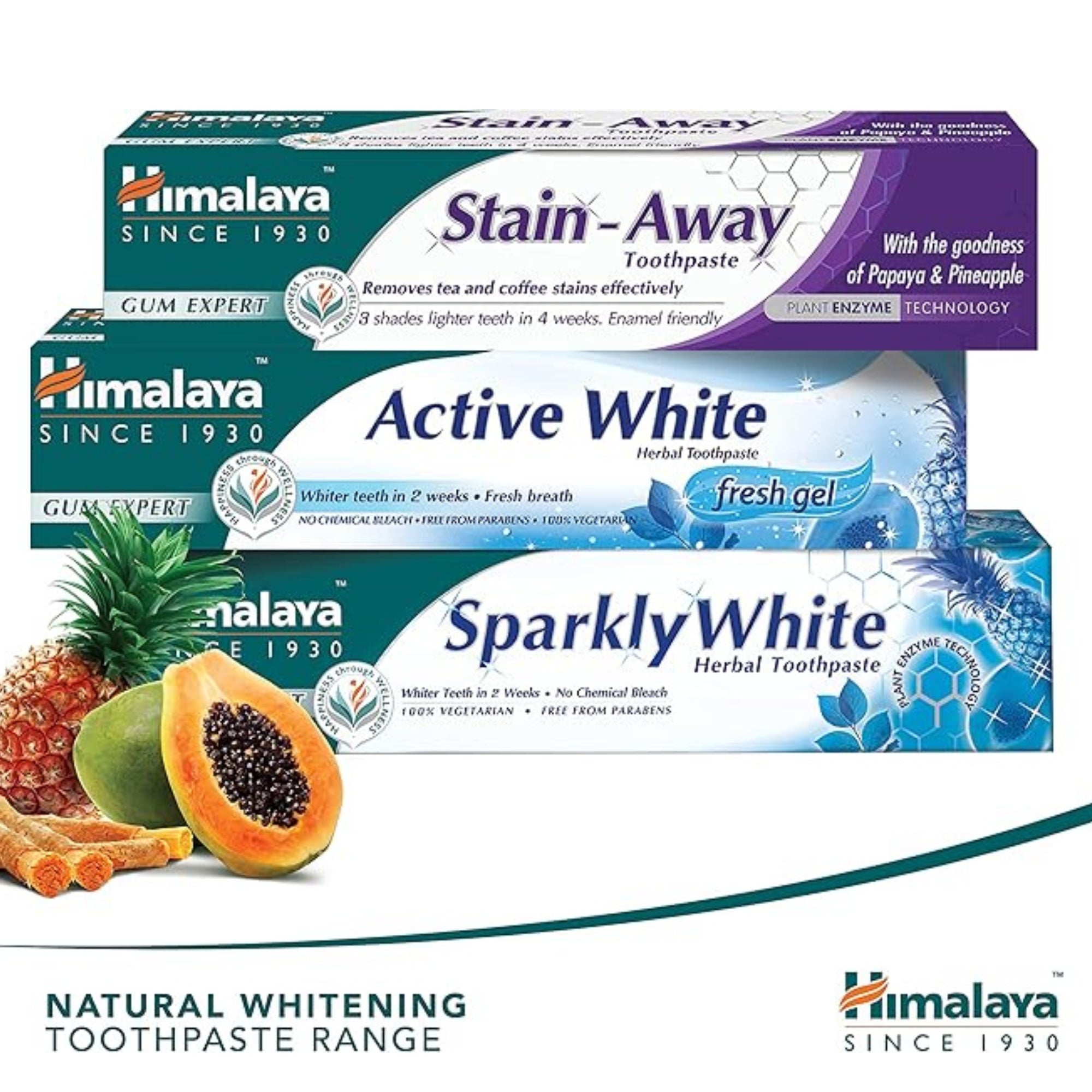 Dentifricio Gum Expert Stain Away di Himalaya | 75ml