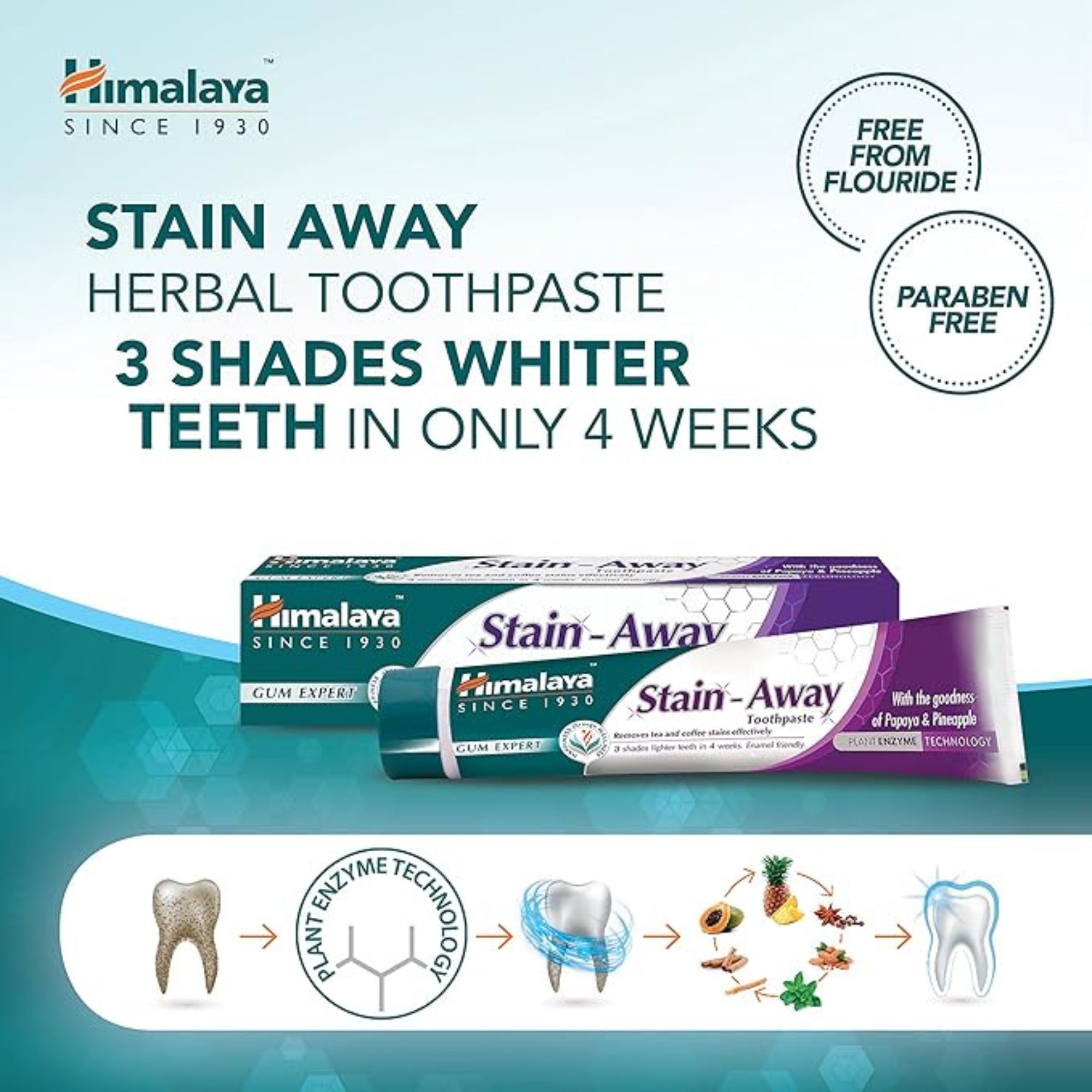 Dentifricio Gum Expert Stain Away di Himalaya | 75ml