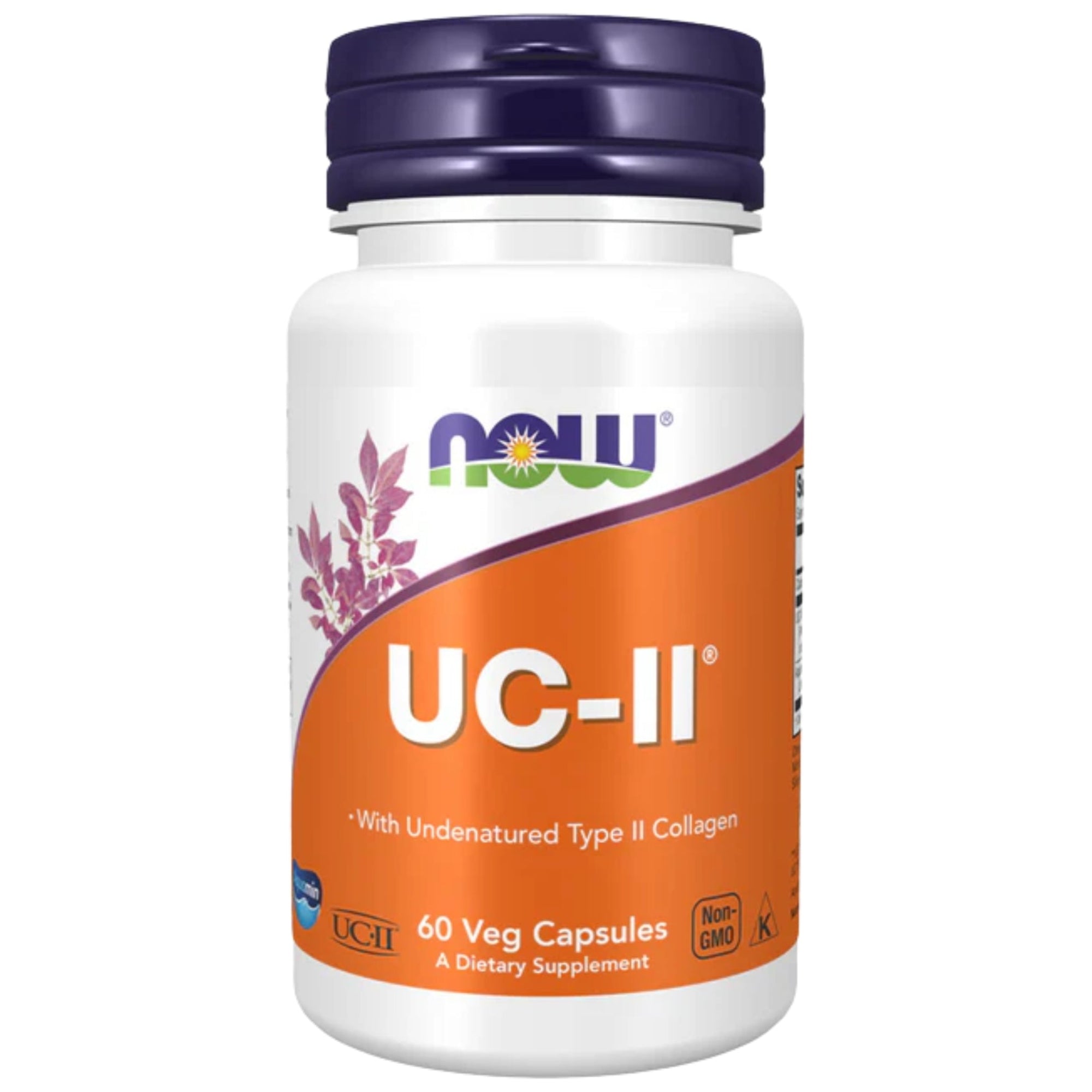 UC-II collagene di tipo II 60 capsule NOW Foods