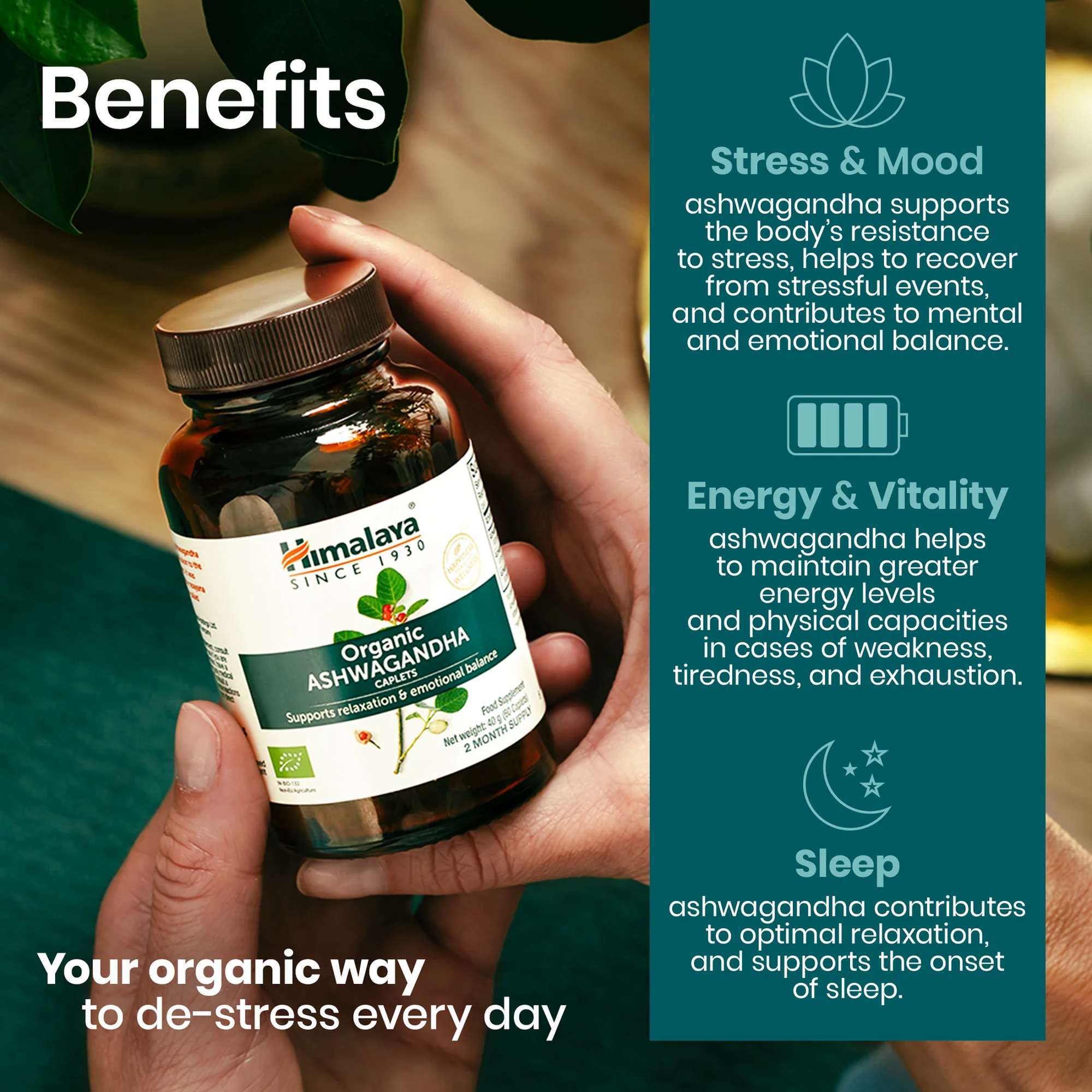 Vantaggi Himalaya Ashwagandha: stress e umore, energia e vitalità, sonno