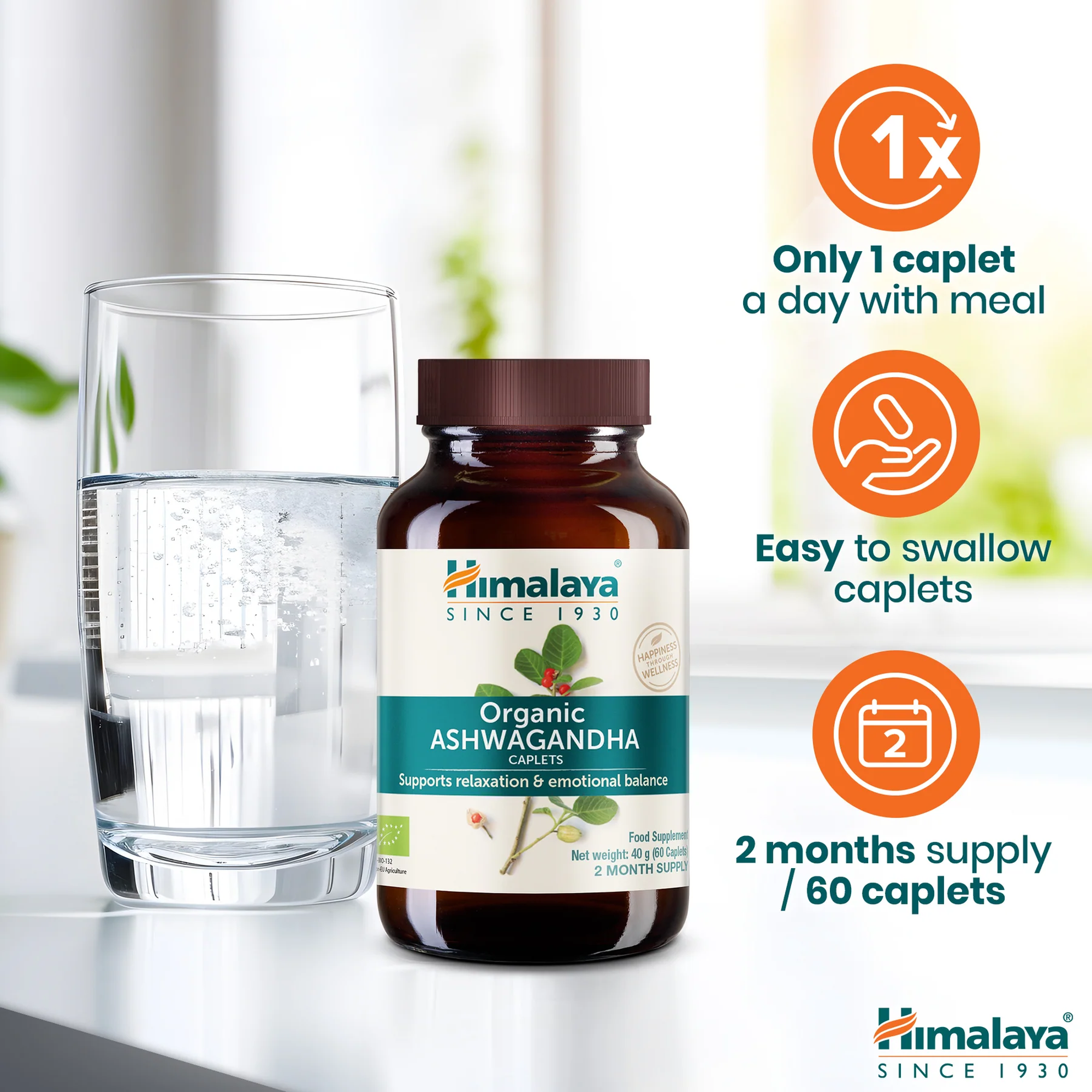 Himalaya Ashwagandha una caplet al giorno durante un pasto, 60 caplet