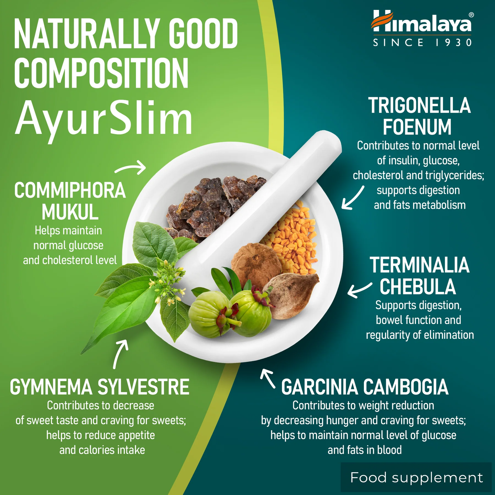 Himalaya AyurSlim ingredienti - Commiphora mukul, Gymnema sylvestre, Garcinia cambogia, Terminalia chebula e fieno greco in una formula ayurvedica