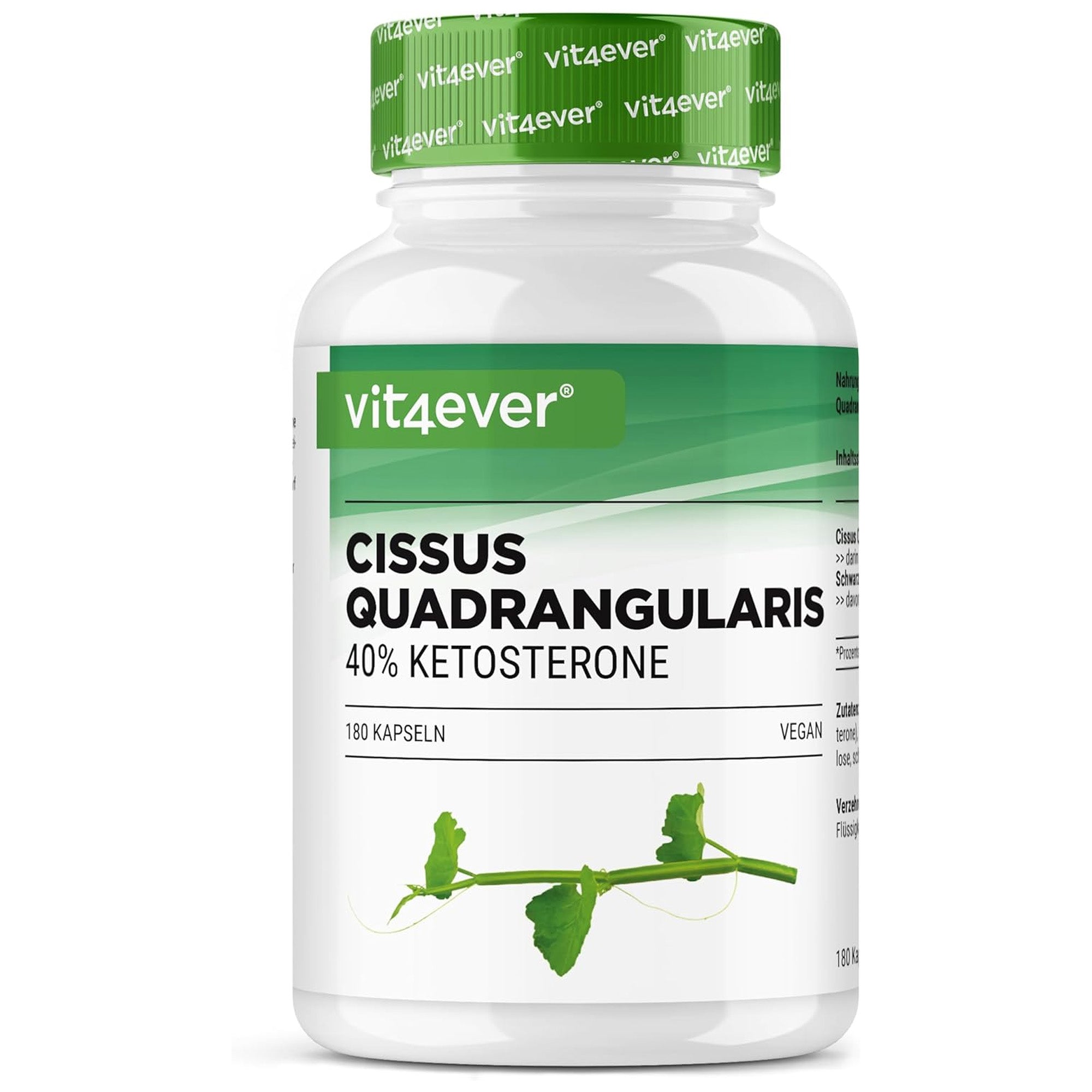 Vit4ever Cissus Quadrangularis Intenso capsule - 180 pezzi