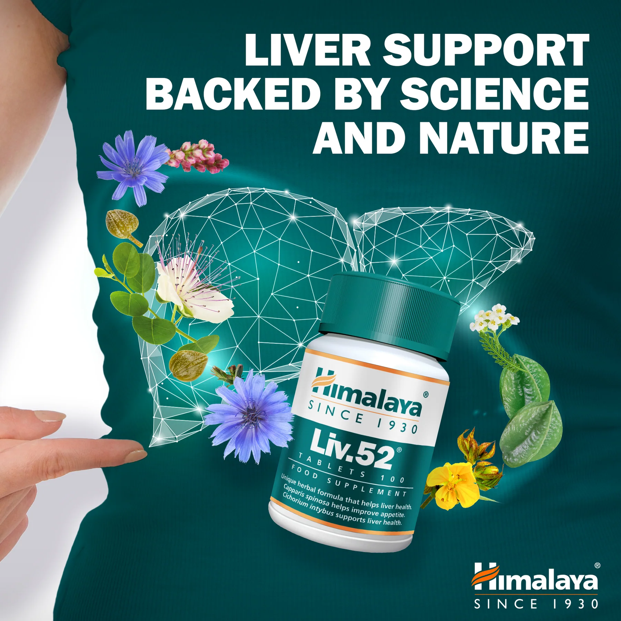Himalaya Liv.52 con otto erbe ayurvediche per fegato e digestione