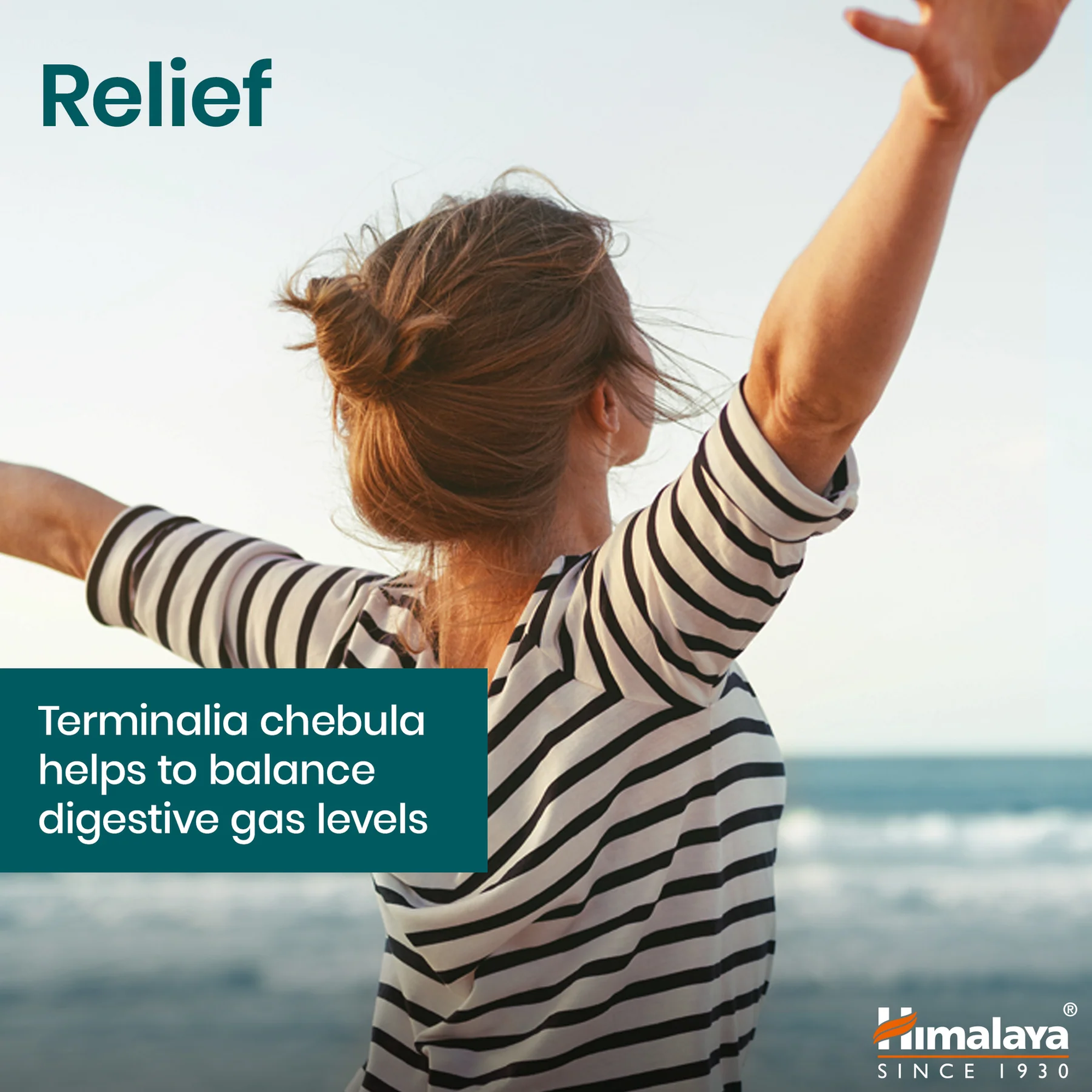 Himalaya Triphala sollievo, Terminalia chebula aiuta a mantenere in equilibrio i gas intestinali